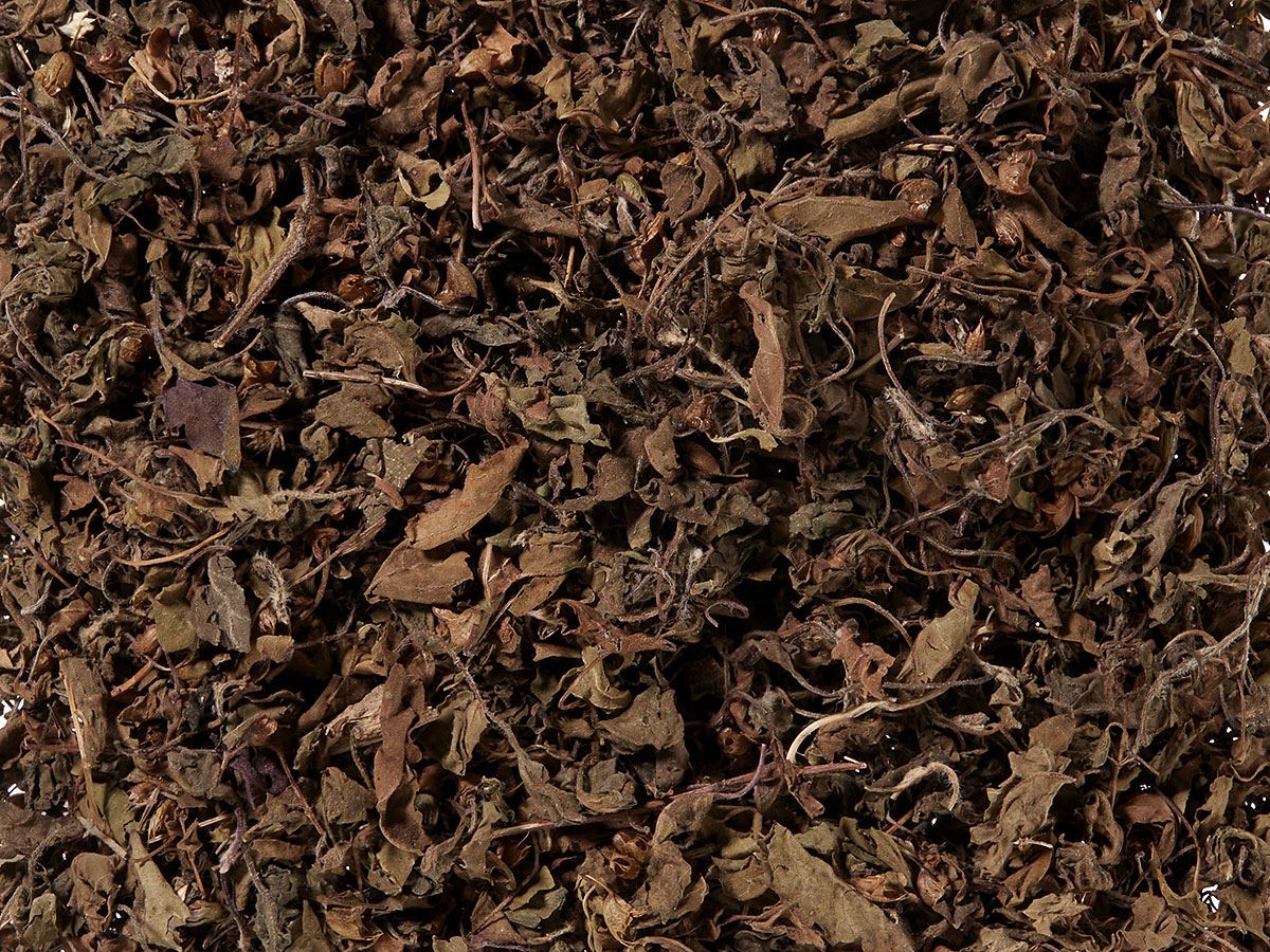 Luomu tulsi yrtti, India